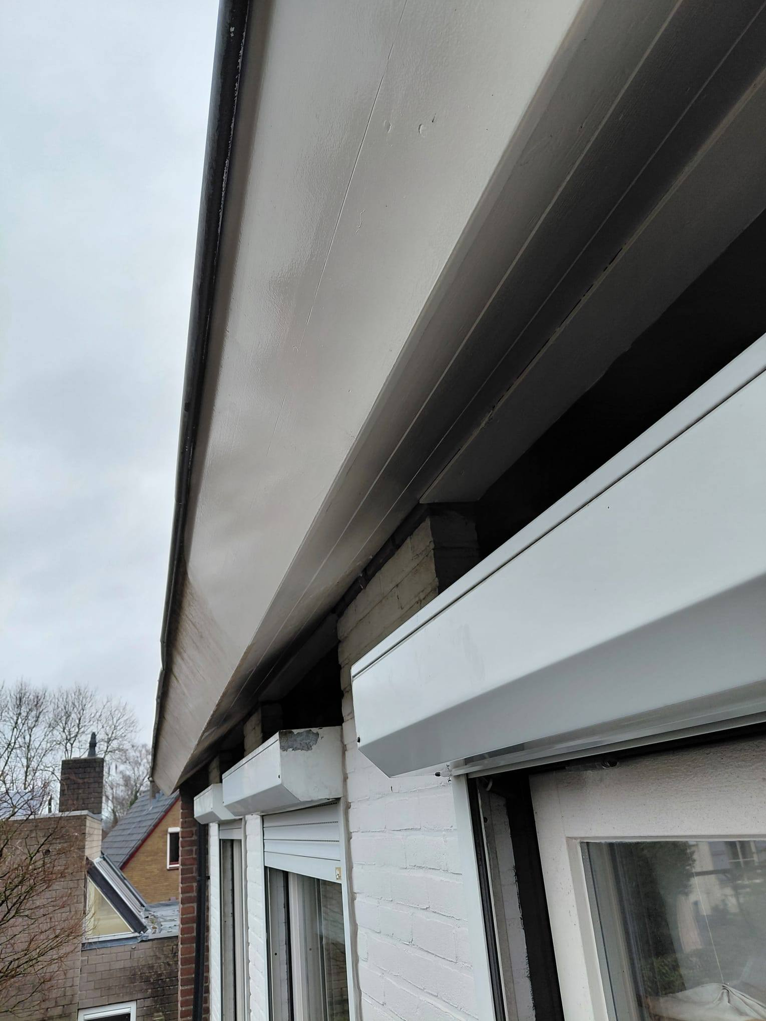 Dakgoot en gevel reiniging