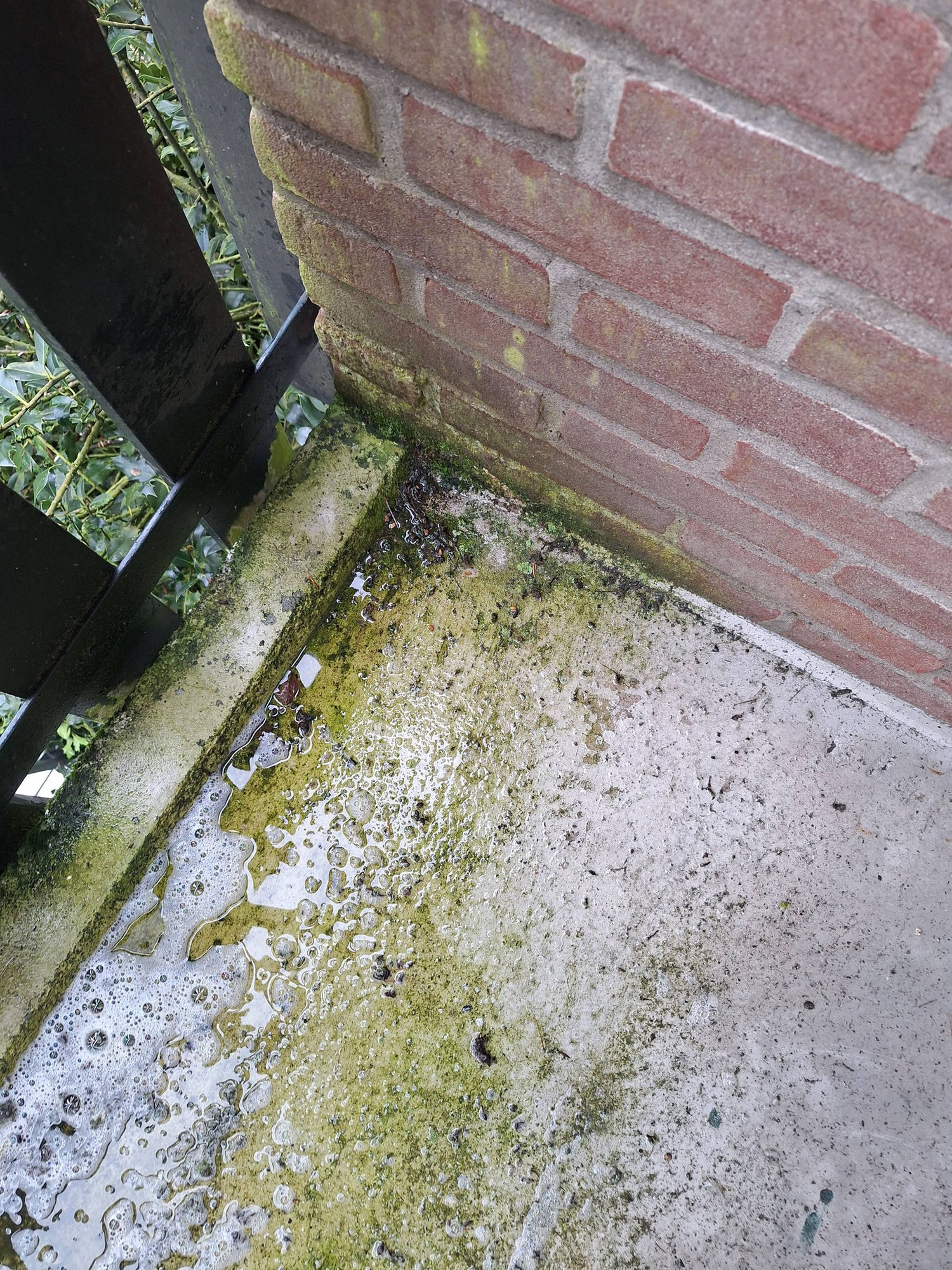 Mos en aanslag verwijdering